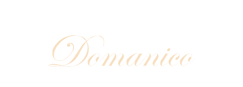 https://ernestodomanico.com/wp-content/uploads/2023/03/ernesto_domanico_2023_logo_WHITE.png
